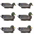 Final Approach Live Early Season Mallards, 6-pack - Bulvaner / lockfåglar - 728614297110 - 1