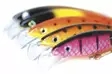 Jesse Wobbler 11cm, floating - Wobblers - 6417512502351 - 6