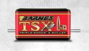 Barnex TSX Bullet .458 300gr 19.4g 20pcs - Luodit - 716876458431 - 1