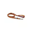 Hurtta Razzle-Dazzle Grip Dog Leash - Dog leashes - 6410329339172 - 1