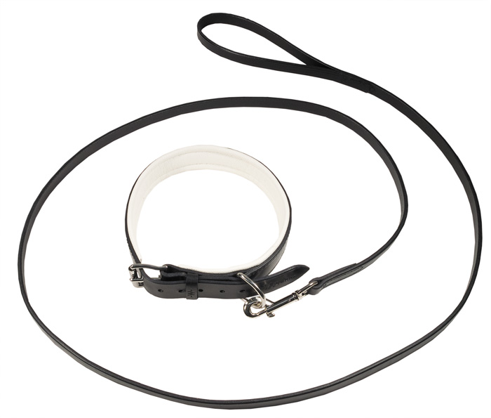 W-profile Läderhalsband svart/svart 40cm - Hundhalsband och selar - 6438040038822 - 1