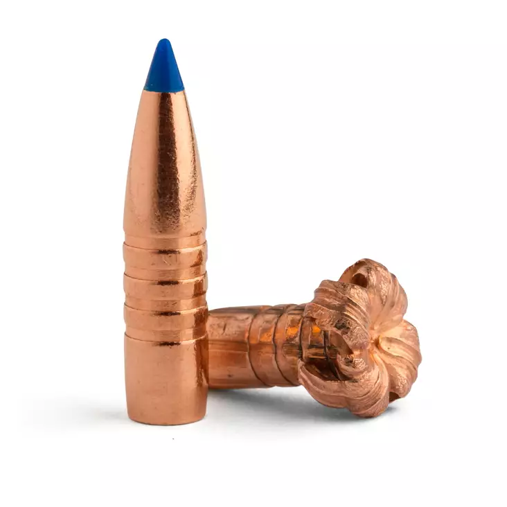 Barnex TTSX Kula .416 350gr / 22,7g 50st - Kulor och Hagel - 716876416233 - 1