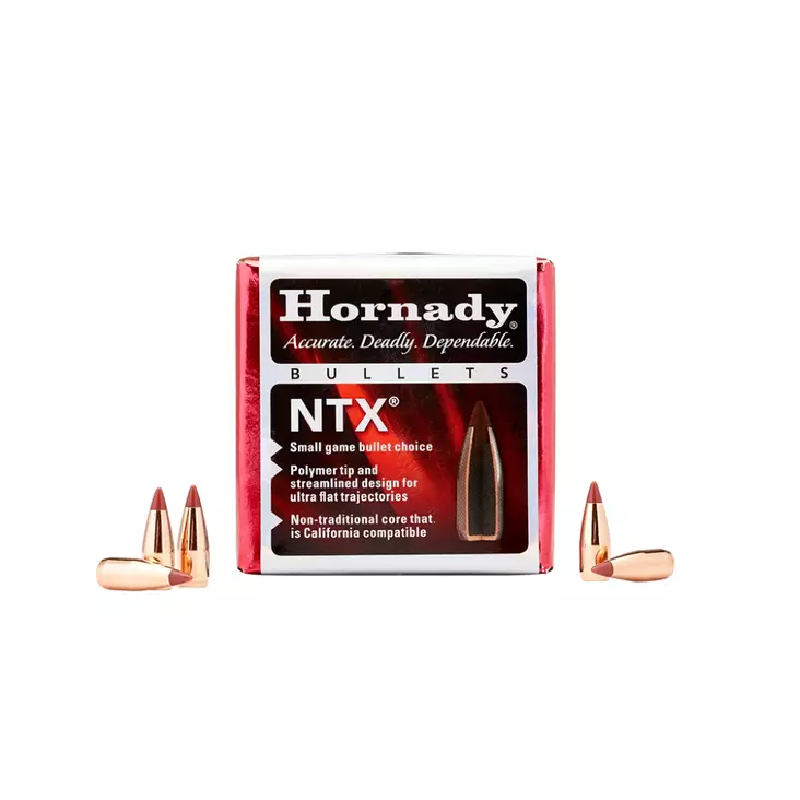 Hornady 22 NTX 22240 Bullet .224 35gr 100pcs - Luodit - 090255200003 - 1