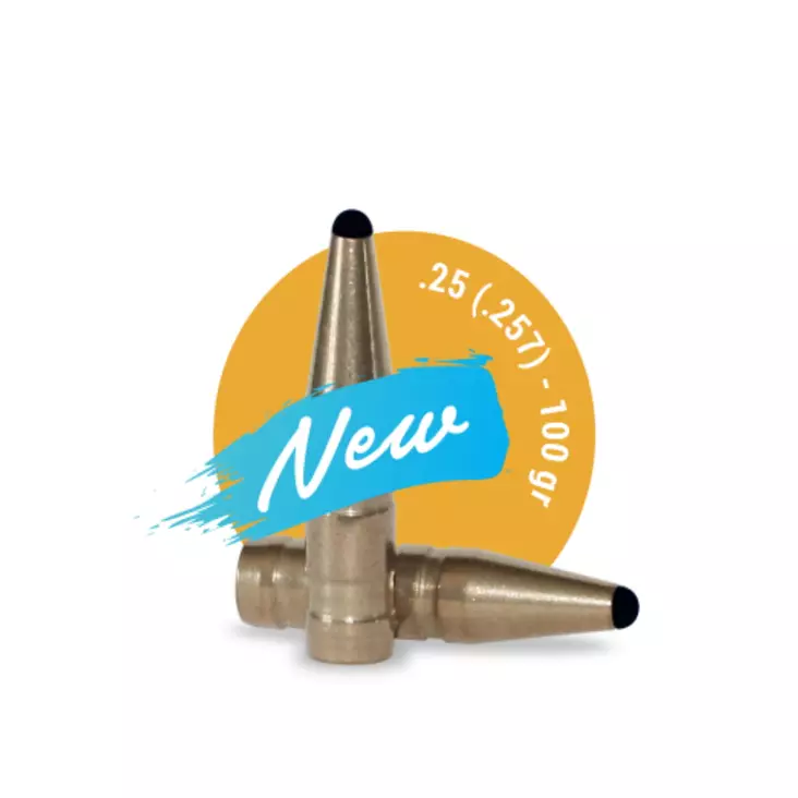 Fox Bullets Classic Hunter .25 6,5g / 100gr bullet 50pcs - Luodit - 3830067340187 - 1