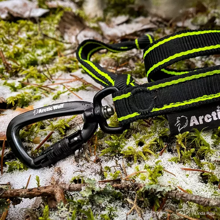 Arctic Wolf POWER elastic leash - Dog leashes - 3950001287528 - 1