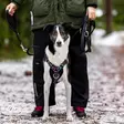 RESCUE PITO käsilenkki - Dog leashes - 6438406007349 - 2