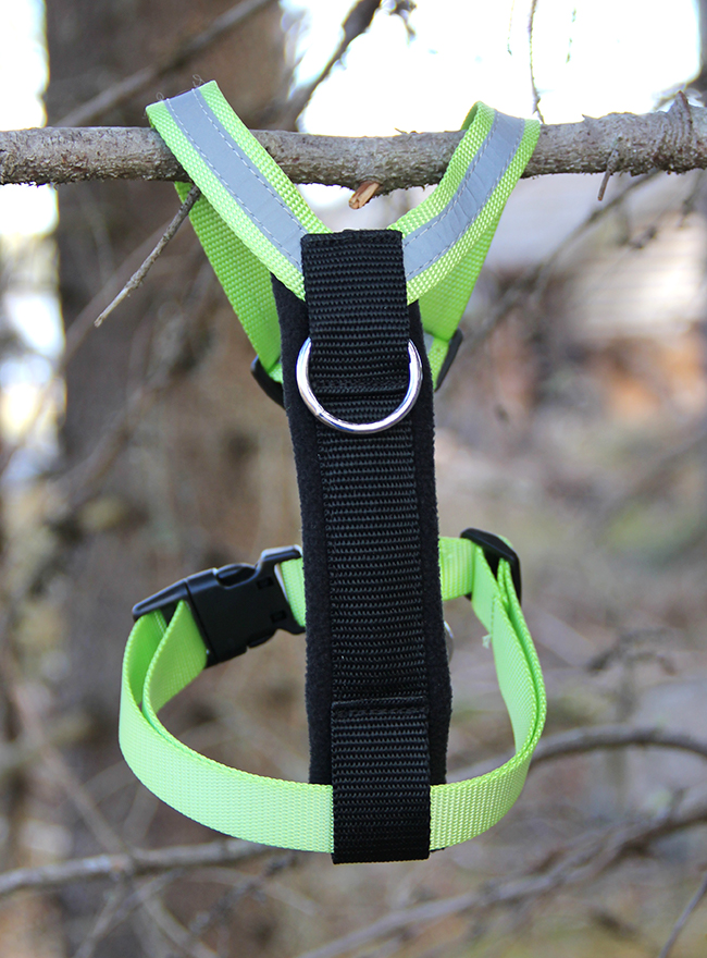 FinNero Salo Harness - Apple Green - Dog collars and harnesses - 3950001262549 - 1