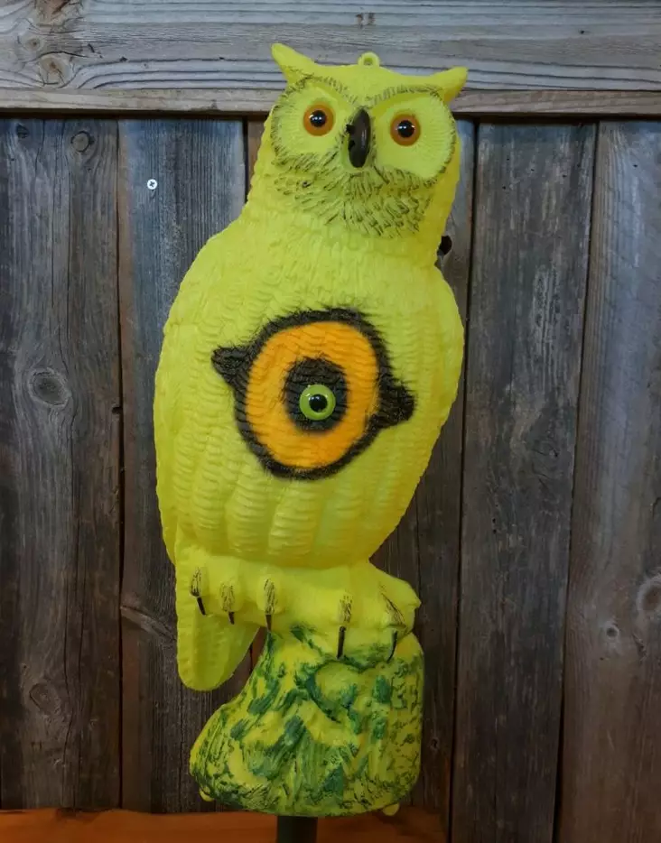Decoy Owl Fluorescent - Decoys - 841854023179 - 1